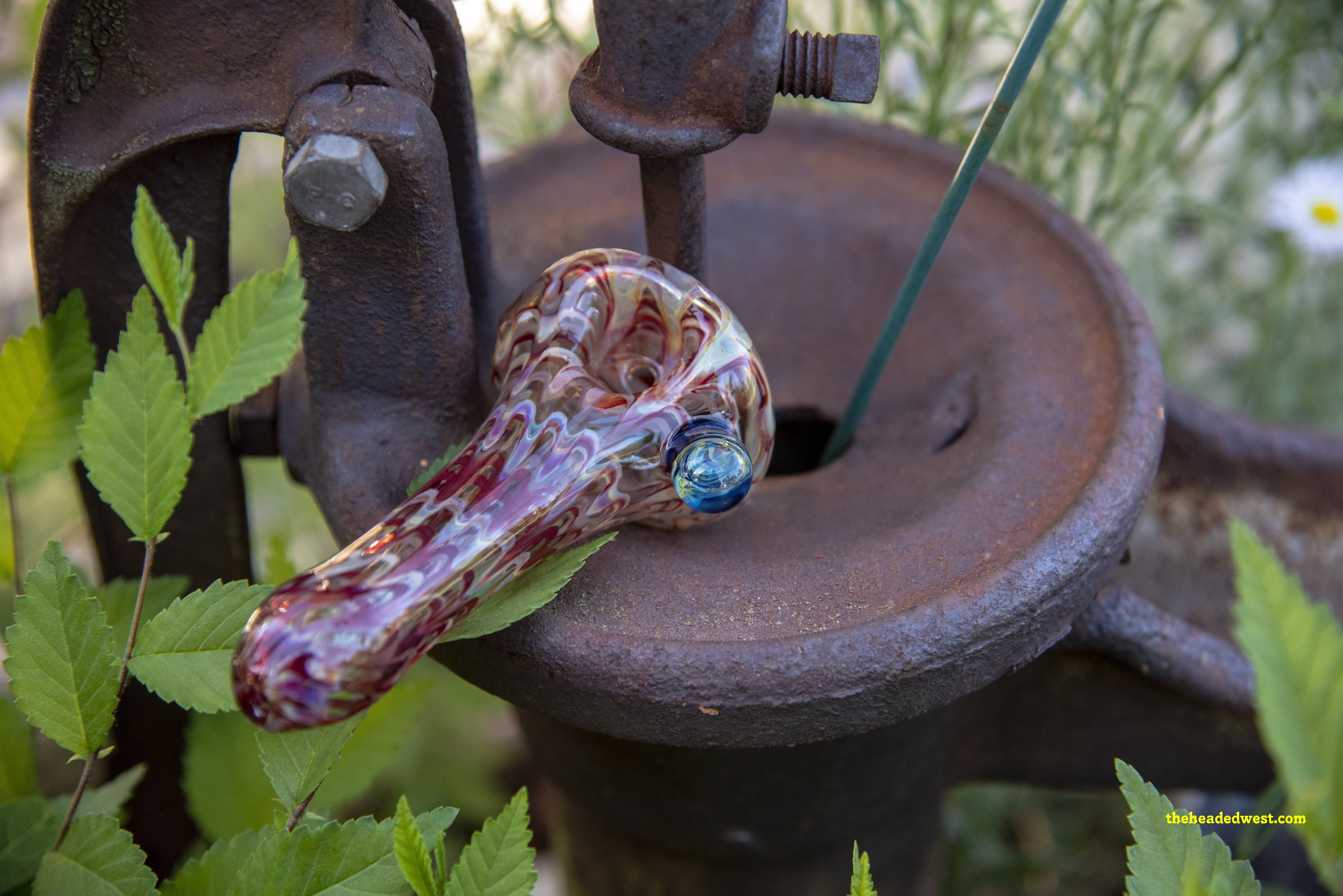 Glass Smoking Pipes, Waterpipes, & Smoking Accessories in Denver, CO